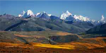 Gaining a mechanistic understanding of spatial biodiversity patterns