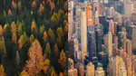 Econobiology: What can economics learn from biology?